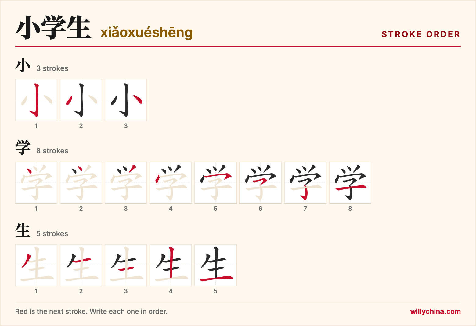小学生 (xiǎoxuéshēng) stroke order chart: each stroke of the characters in the order you write them