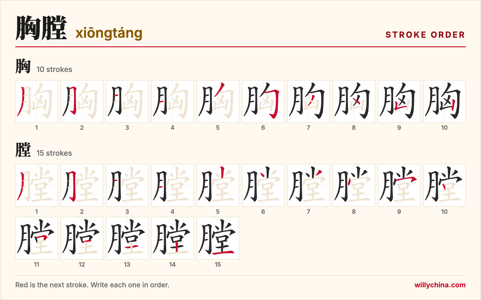 胸膛 (xiōngtáng) stroke order chart: each stroke of the characters in the order you write them