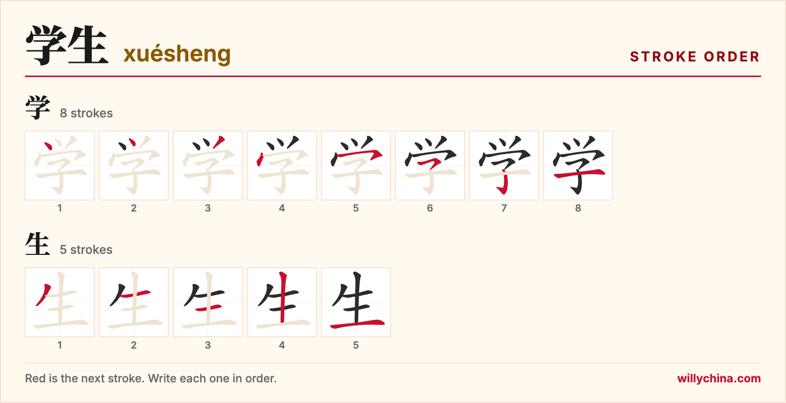 学生 (xuésheng) stroke order chart: each stroke of the characters in the order you write them