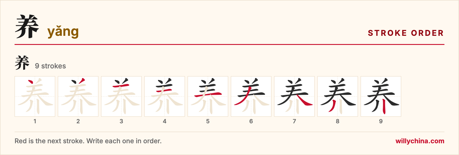 养 (yǎng) stroke order chart: each stroke of the character in the order you write it
