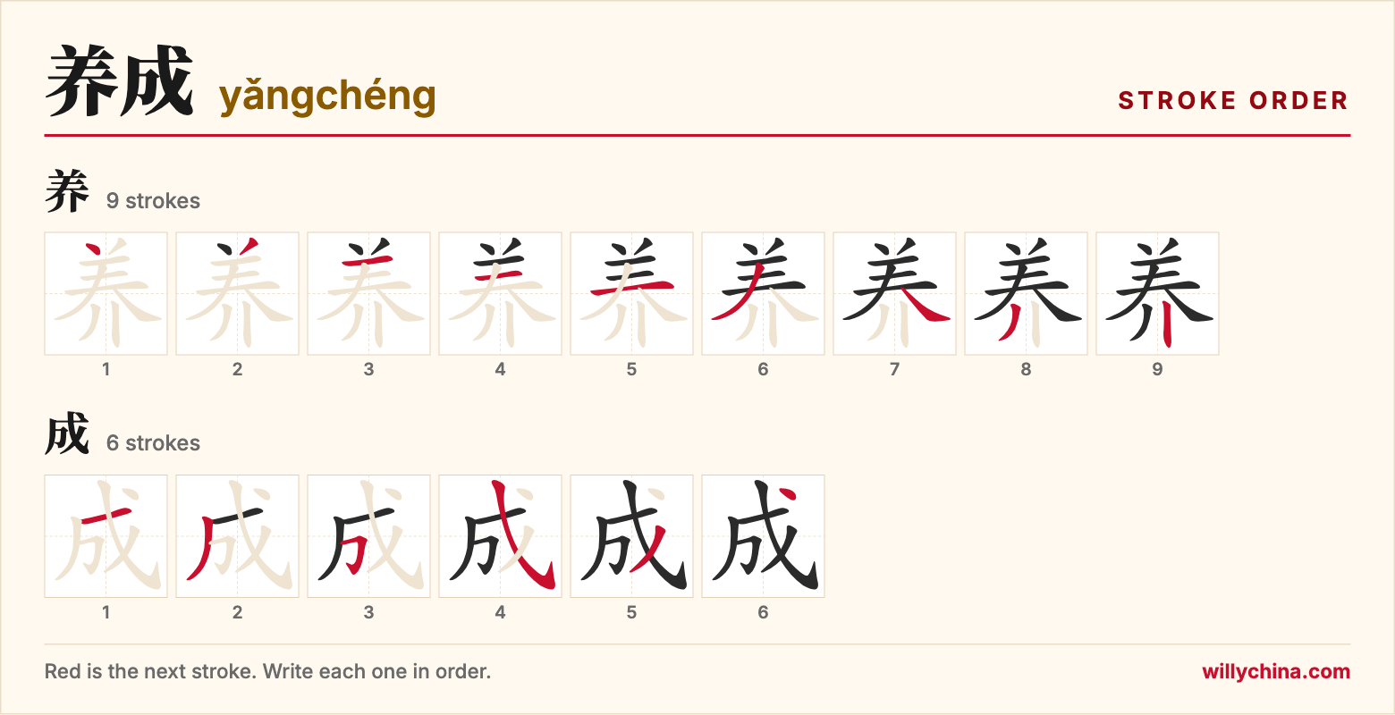 养成 (yǎngchéng) stroke order chart: each stroke of the characters in the order you write them