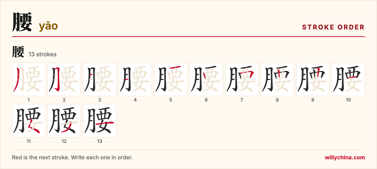 腰 (yāo) stroke order chart: each stroke of the character in the order you write it