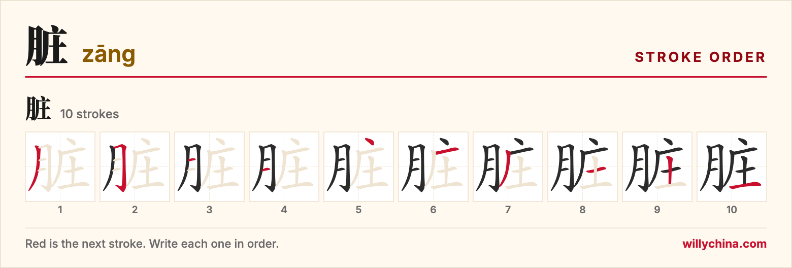 脏 (zāng) stroke order chart: each stroke of the character in the order you write it