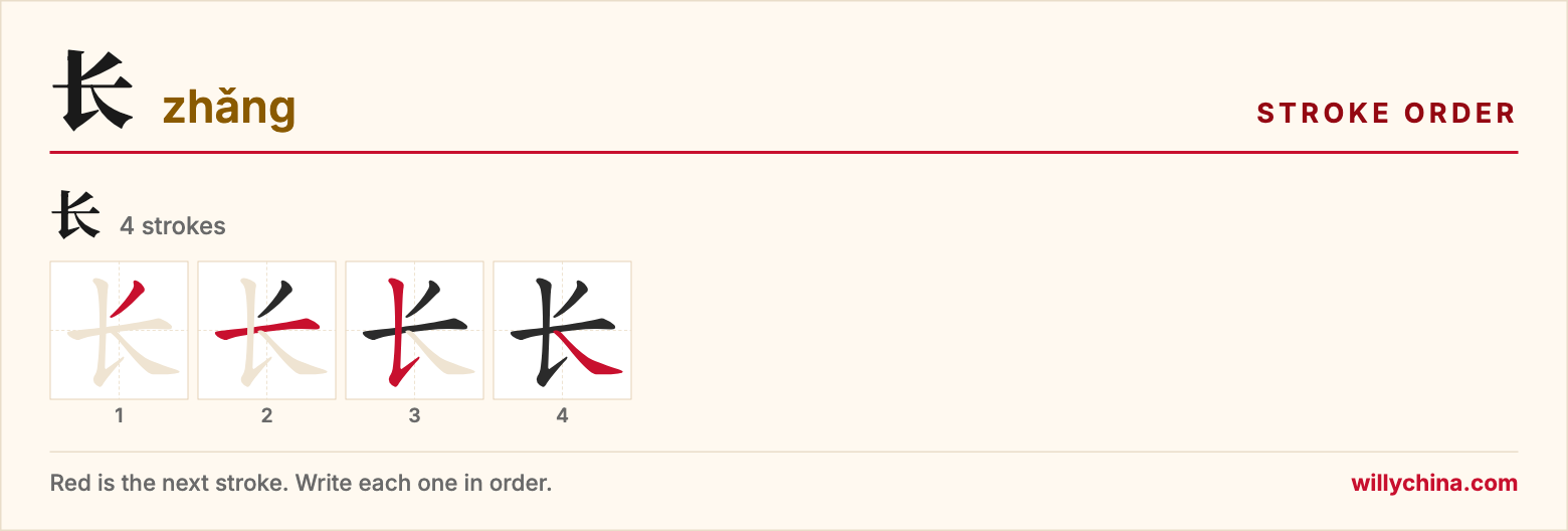 长 (zhǎng) stroke order chart: each stroke of the character in the order you write it