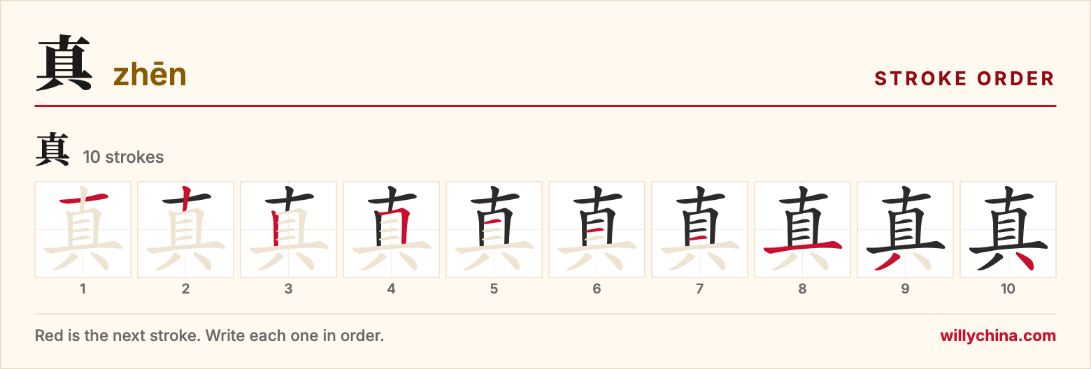 真 (zhēn) stroke order chart: each stroke of the character in the order you write it