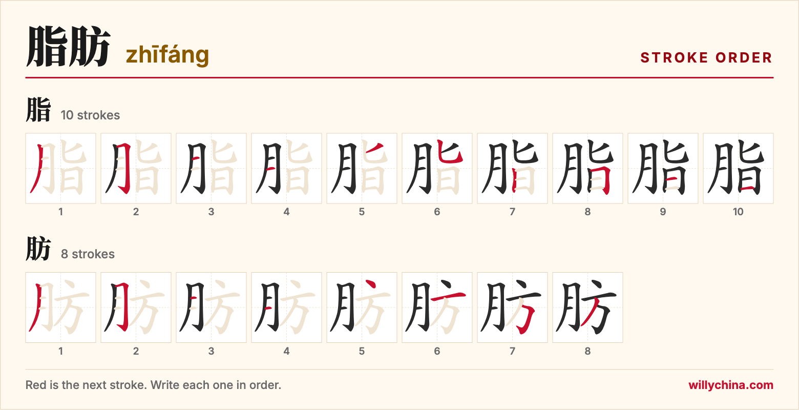 脂肪 (zhīfáng) stroke order chart: each stroke of the characters in the order you write them