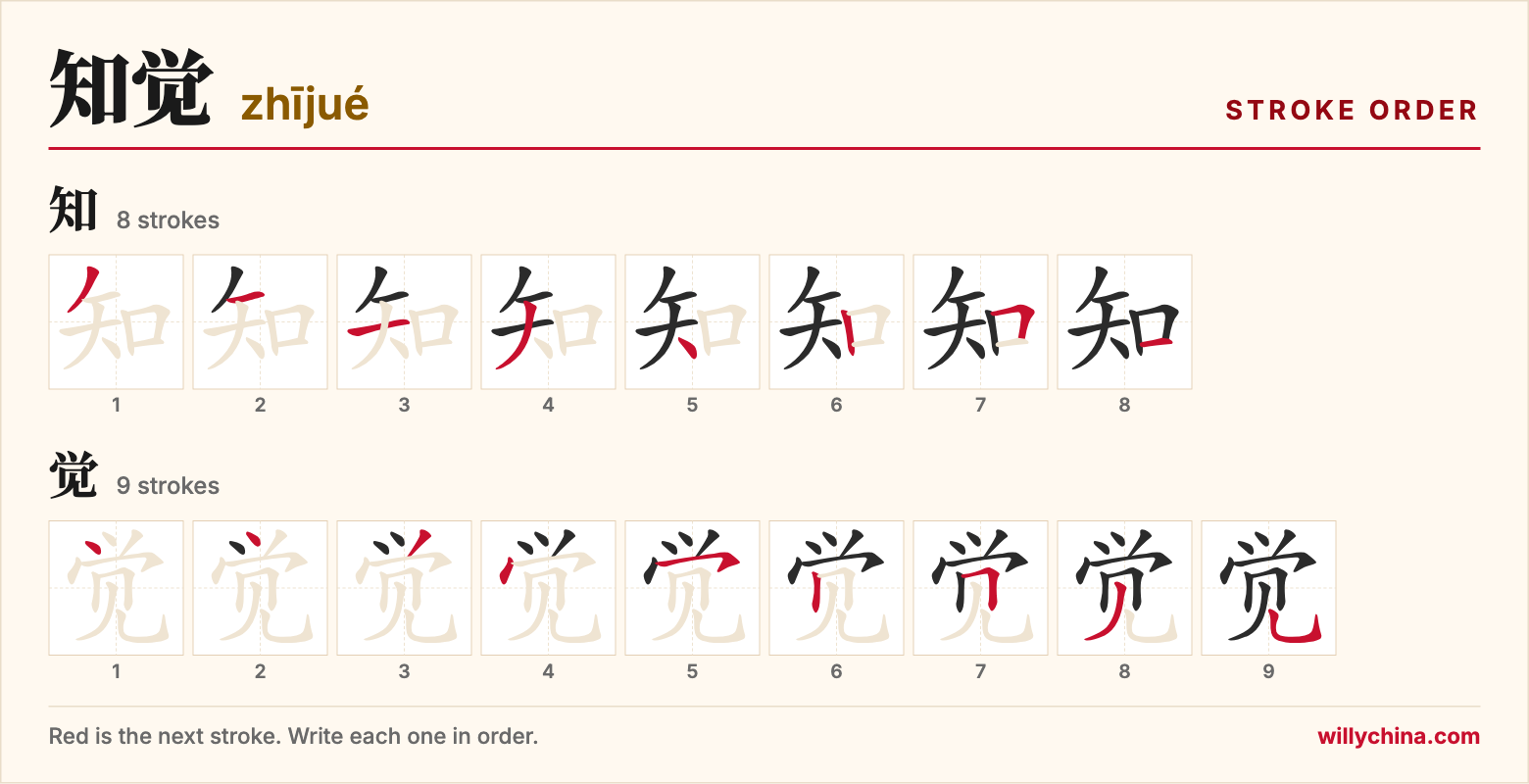 知觉 (zhījué) stroke order chart: each stroke of the characters in the order you write them