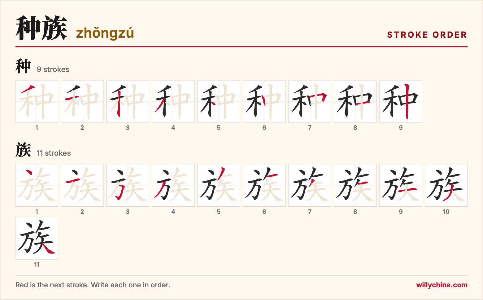种族 (zhǒngzú) stroke order chart: each stroke of the characters in the order you write them
