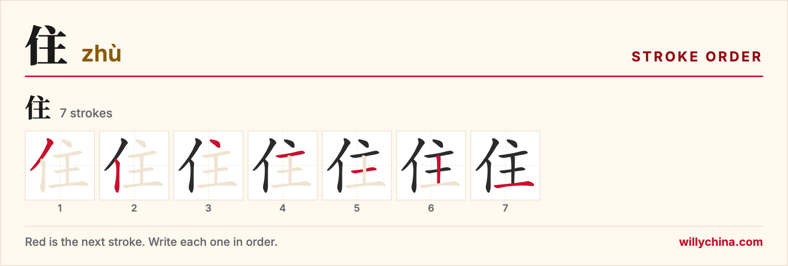 住 (zhù) stroke order chart: each stroke of the character in the order you write it