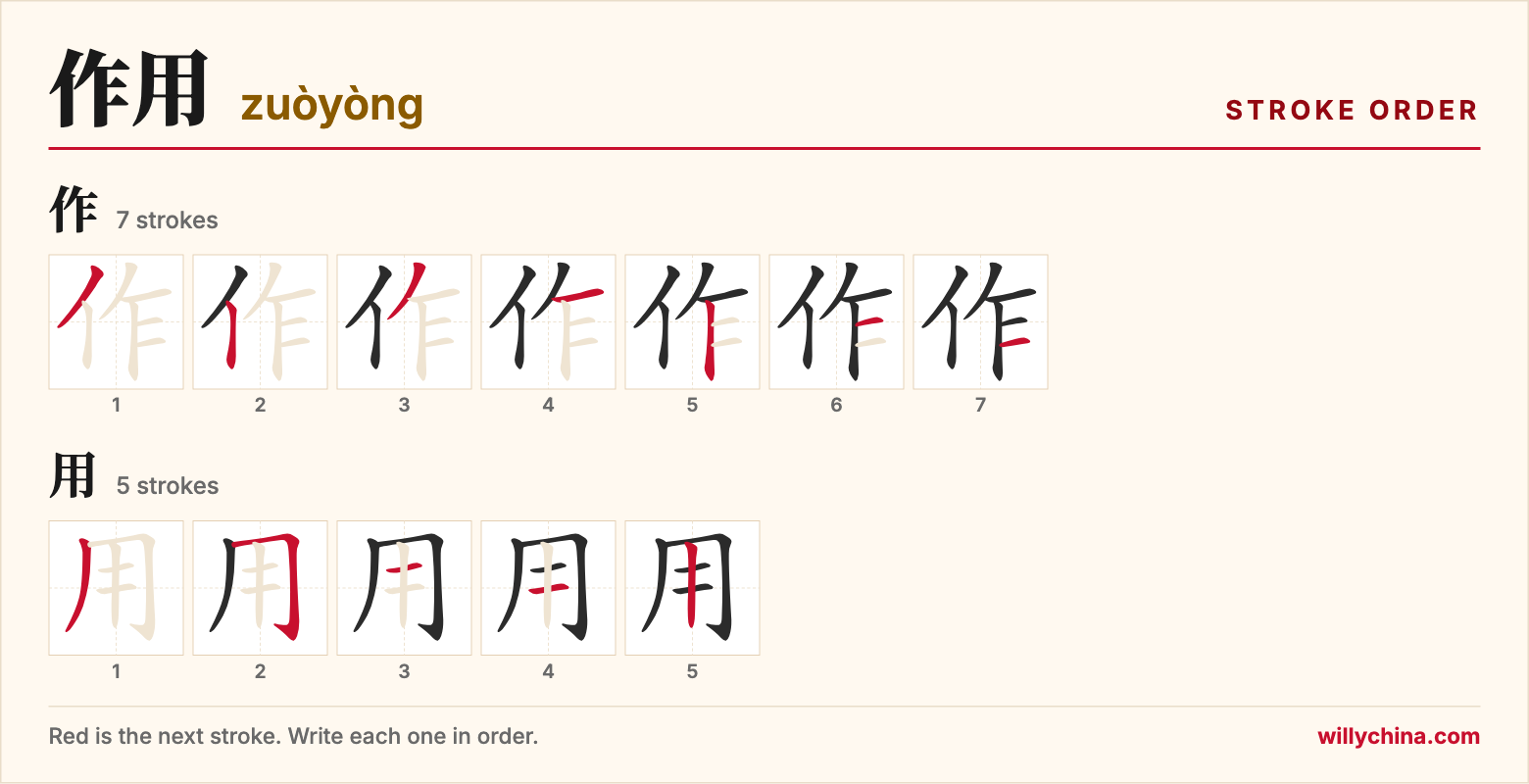 作用 (zuòyòng) stroke order chart: each stroke of the characters in the order you write them