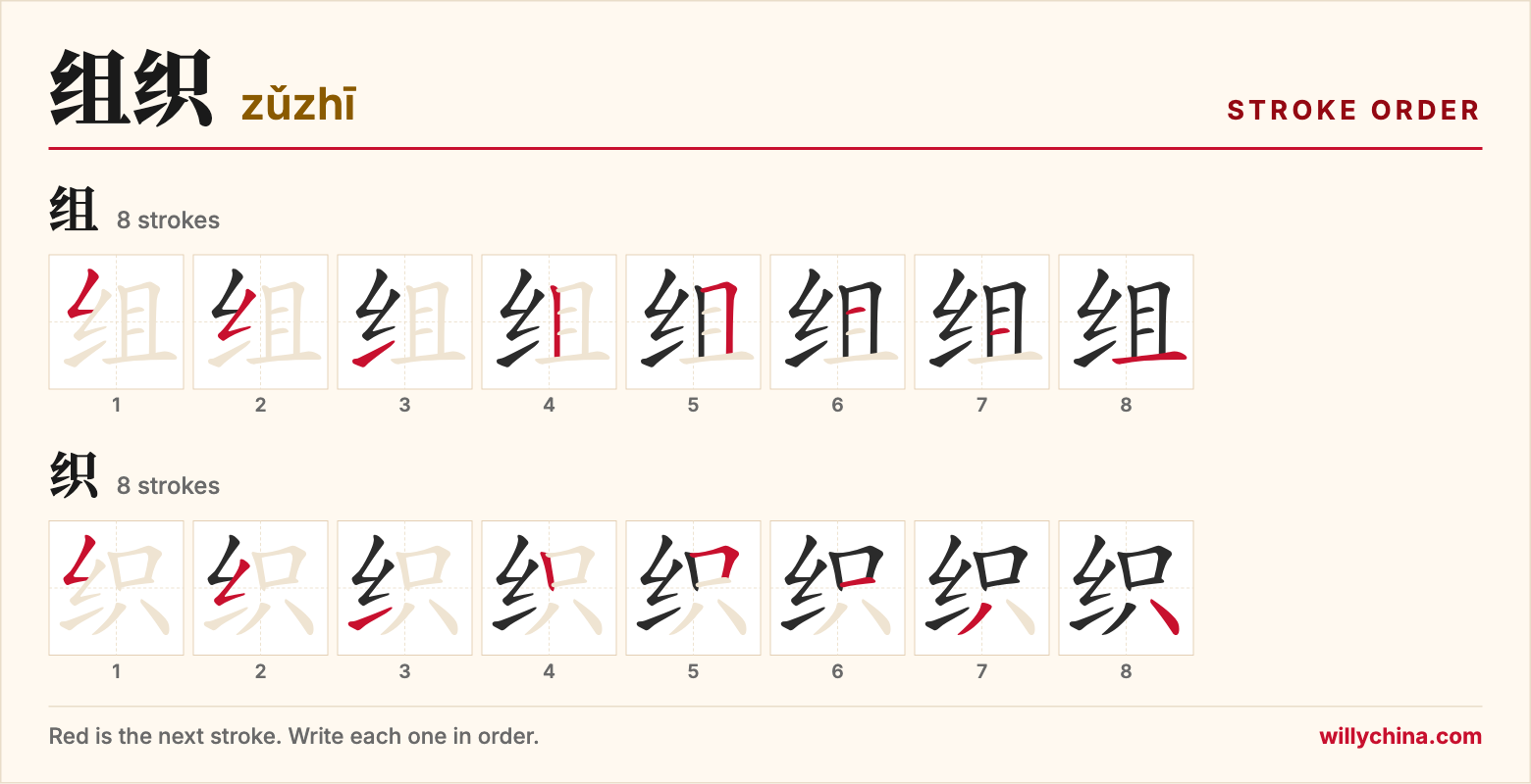 组织 (zǔzhī) stroke order chart: each stroke of the characters in the order you write them