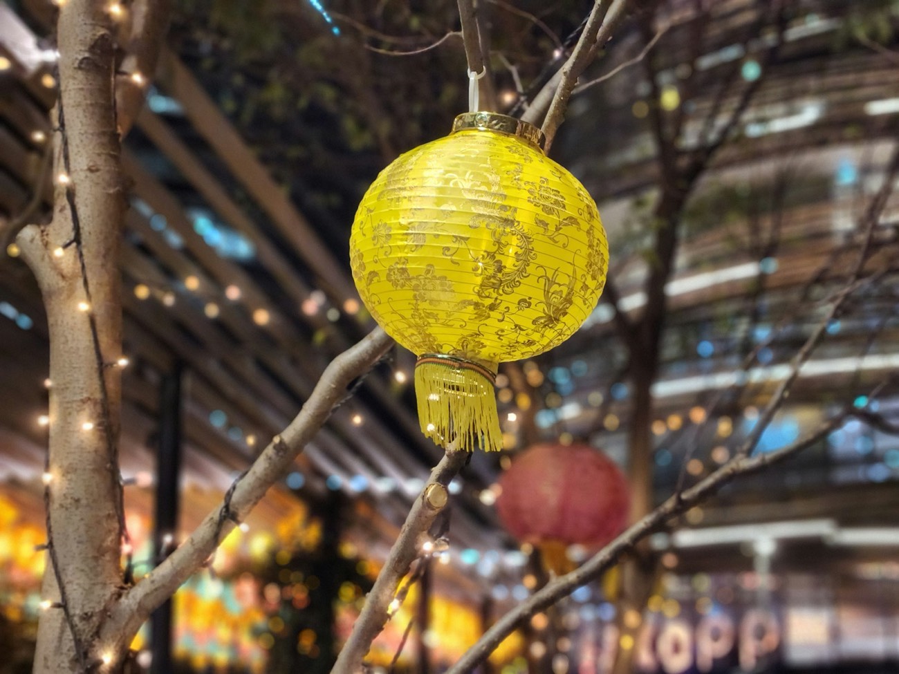 Yellow Chinese lantern — Sydney Lunar New Year