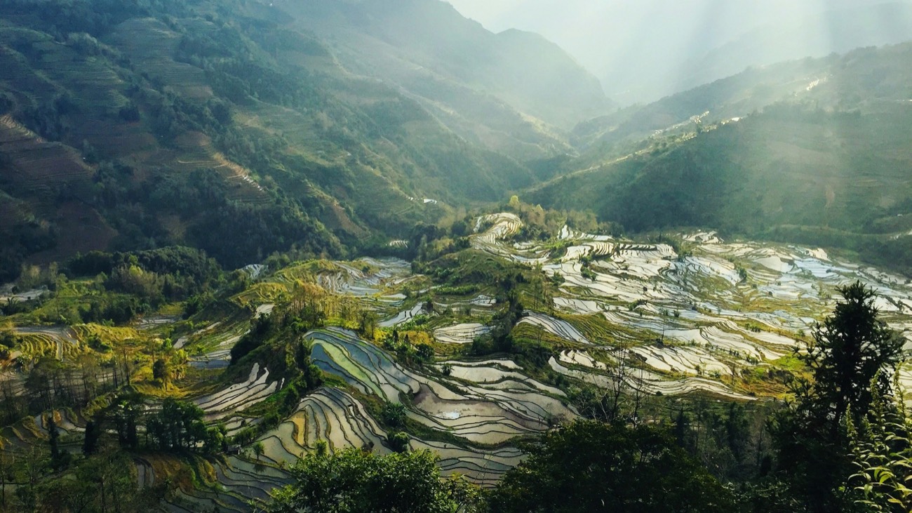 Yuanyang rice terraces in Yunnan, China, with sun rays breaking through mountain mist