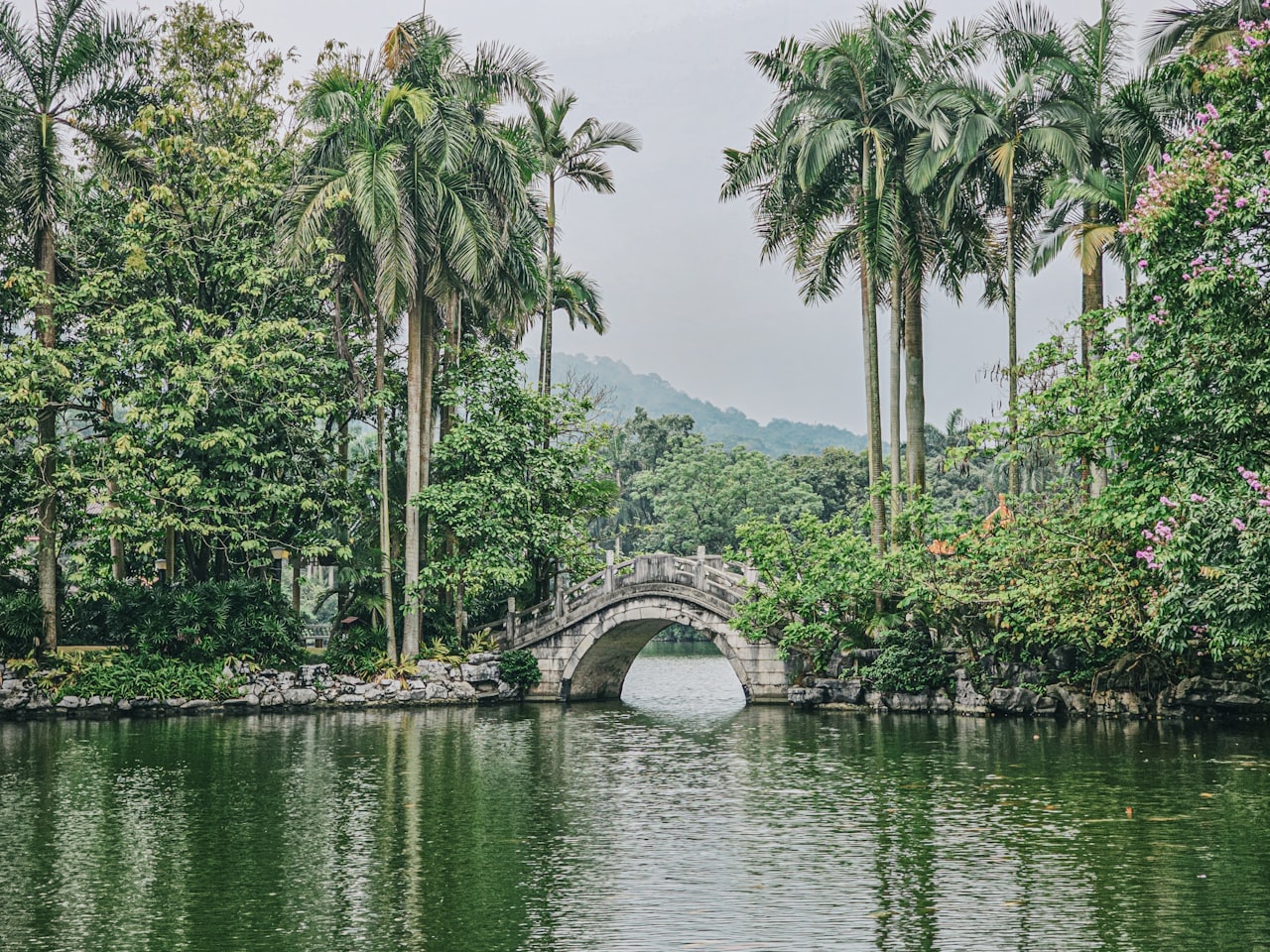 A bridge over the river framed by palm trees in Nanning, Guangxi