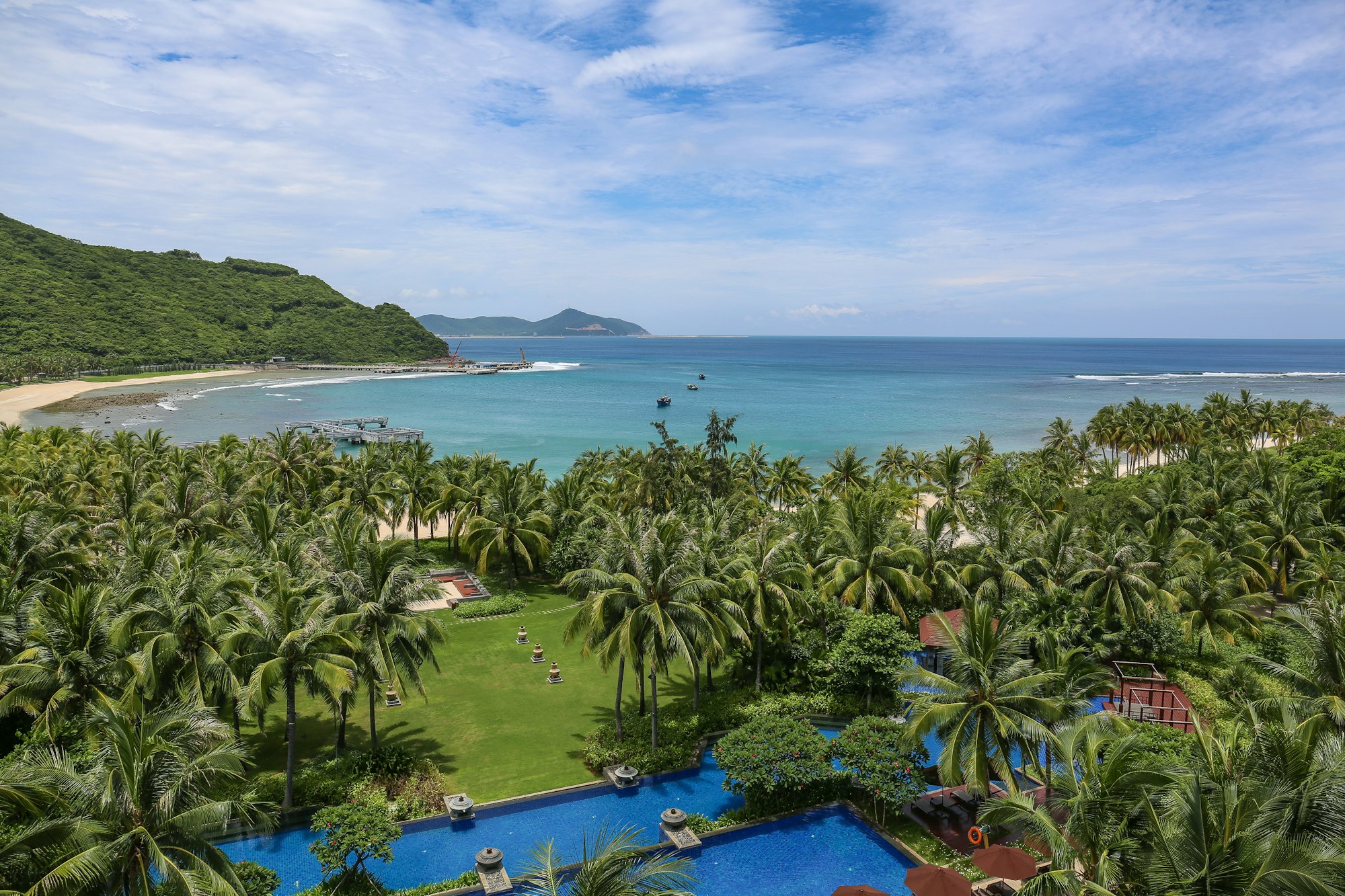 Green palm trees beside a tropical seashore in Hainan, China