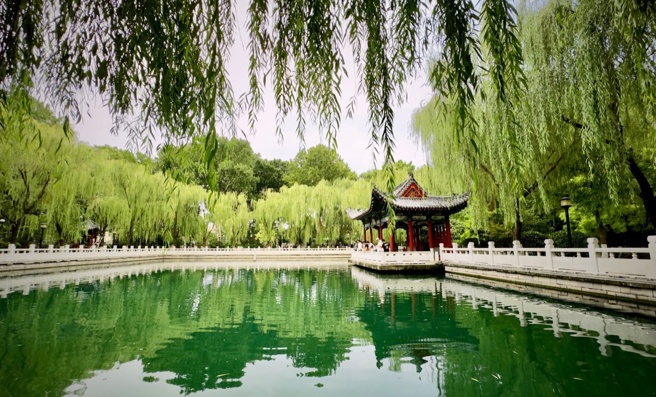 A spring-fed pond and pavilion among willows in Jinan, the City of Springs, Shandong