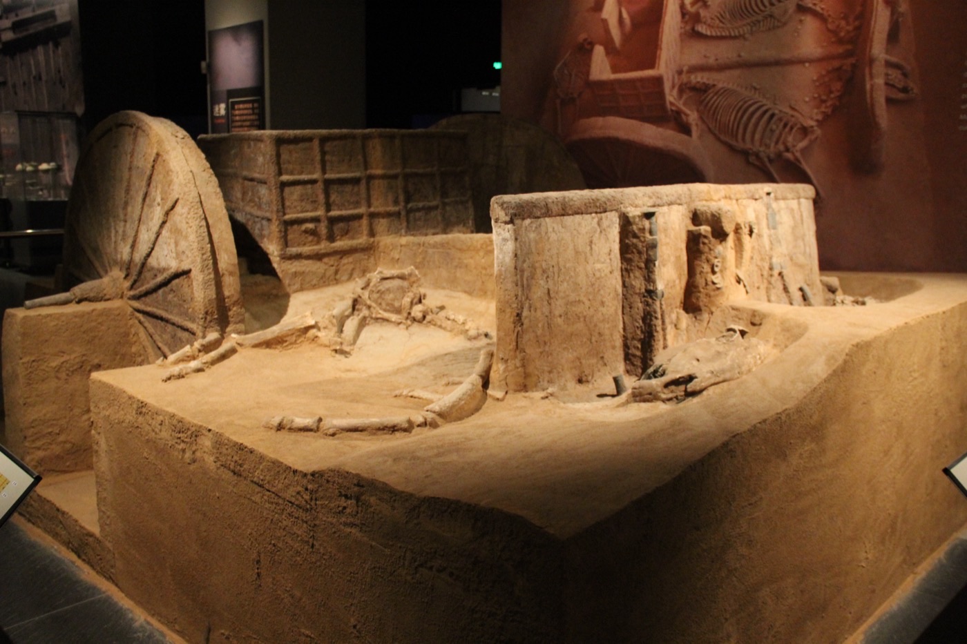 A Shang-dynasty chariot burial excavated at the Yinxu ruins, Anyang, Henan
