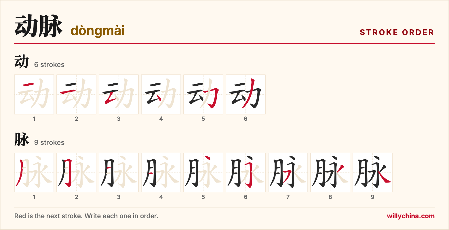 动脉 (dòngmài) stroke order chart: each stroke of the characters in the order you write them
