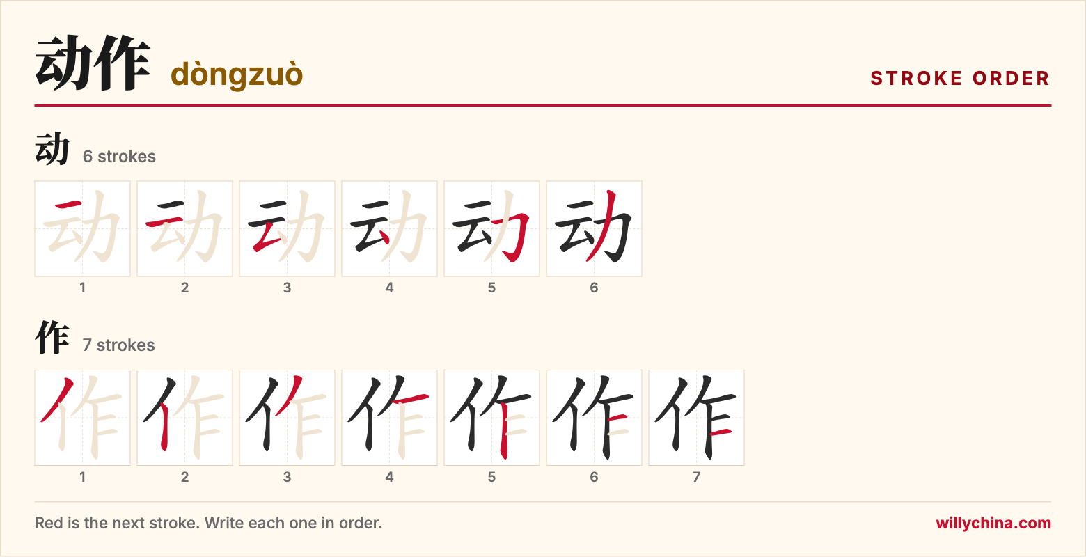 动作 (dòngzuò) stroke order chart: each stroke of the characters in the order you write them