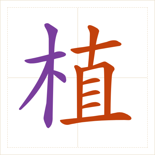 The character 植 (zhí) with each of its parts in a different colour
