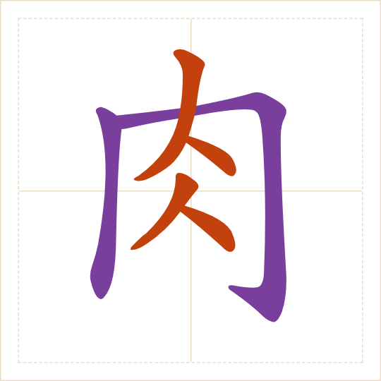 The character 肉 (ròu) with each of its parts in a different colour