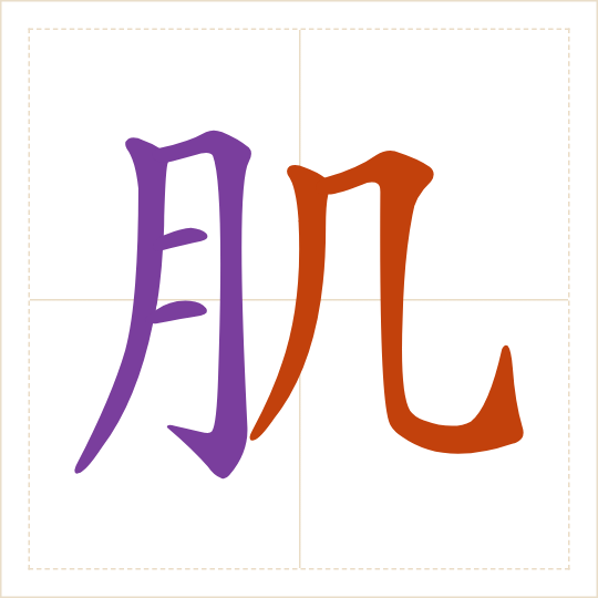The character 肌 (jī) with each of its parts in a different colour