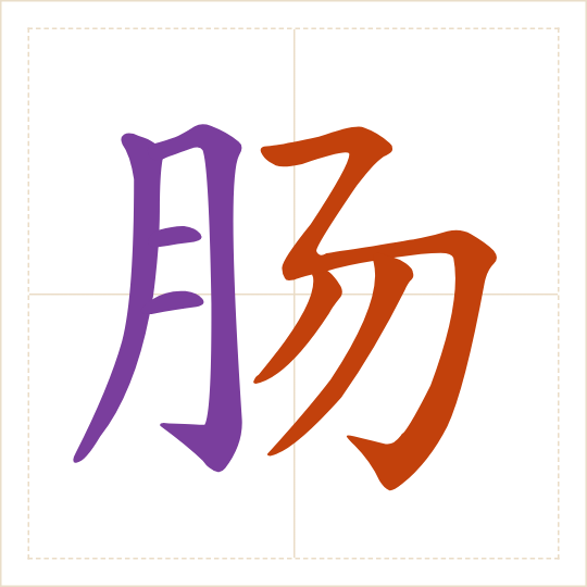 The character 肠 (cháng) with each of its parts in a different colour