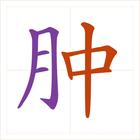 The character 肿 (zhǒng) with each of its parts in a different colour