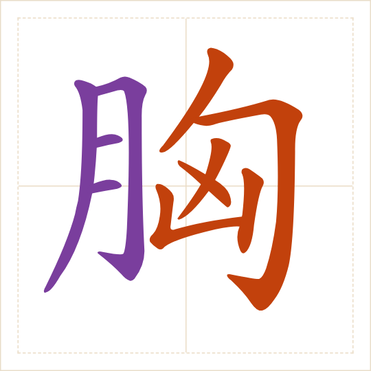 The character 胸 (xiōng) with each of its parts in a different colour