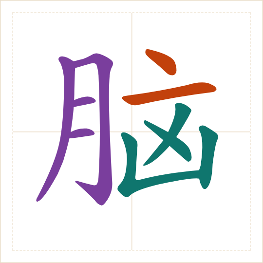 The character 脑 (nǎo) with each of its parts in a different colour