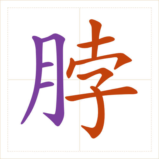 The character 脖 (bó) with each of its parts in a different colour