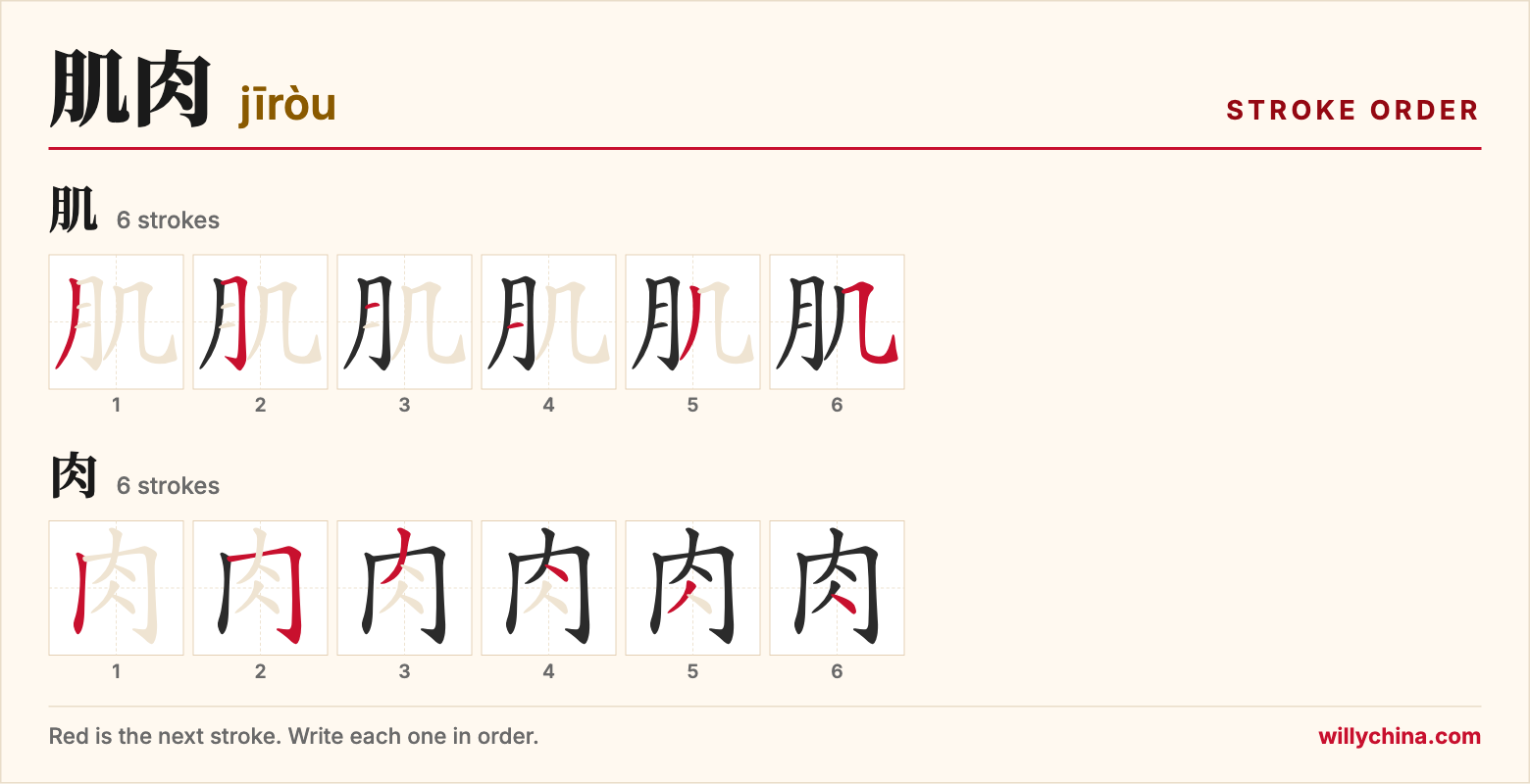 肌肉 (jīròu) stroke order chart: each stroke of the characters in the order you write them
