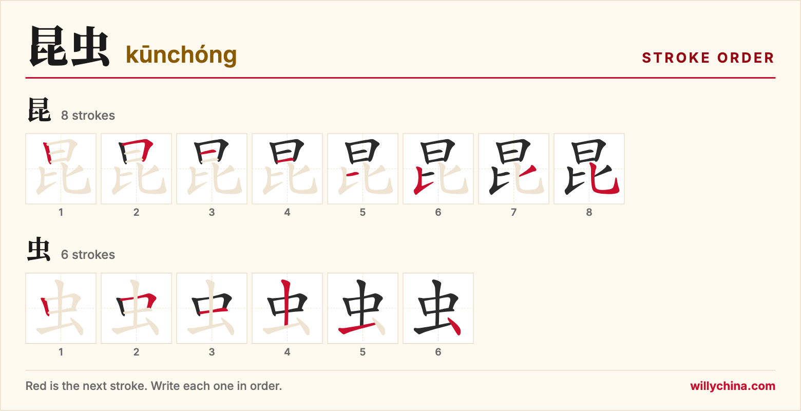 昆虫 (kūnchóng) stroke order chart: each stroke of the characters in the order you write them