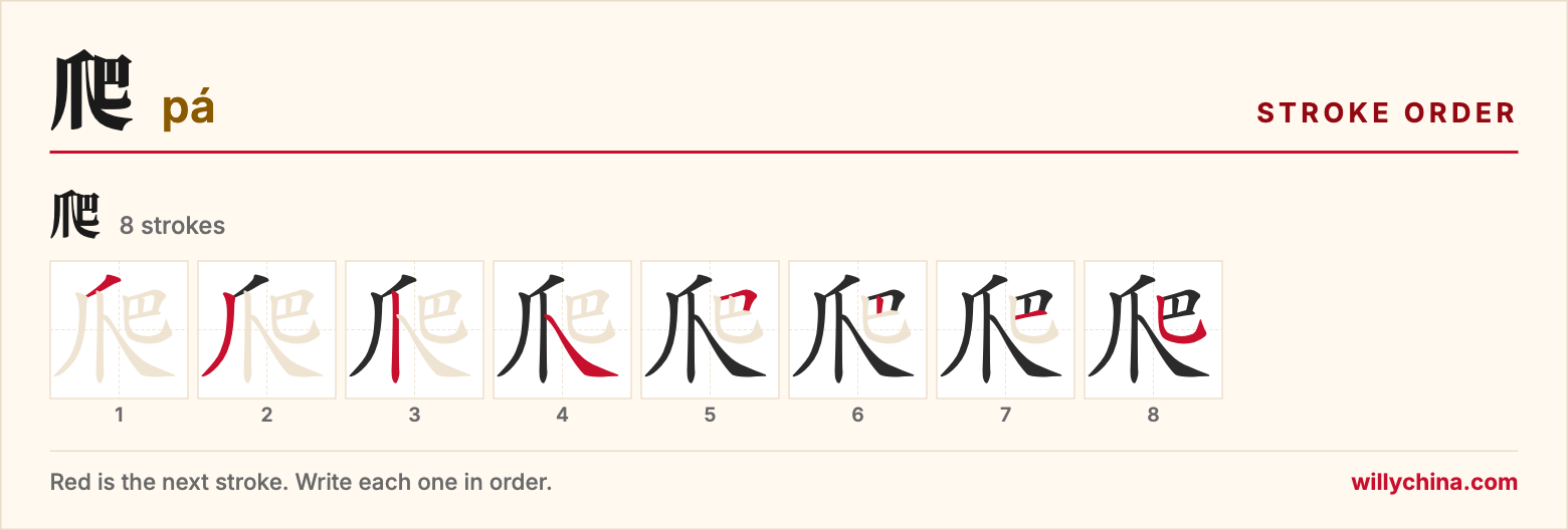 爬 (pá) stroke order chart: each stroke of the character in the order you write it