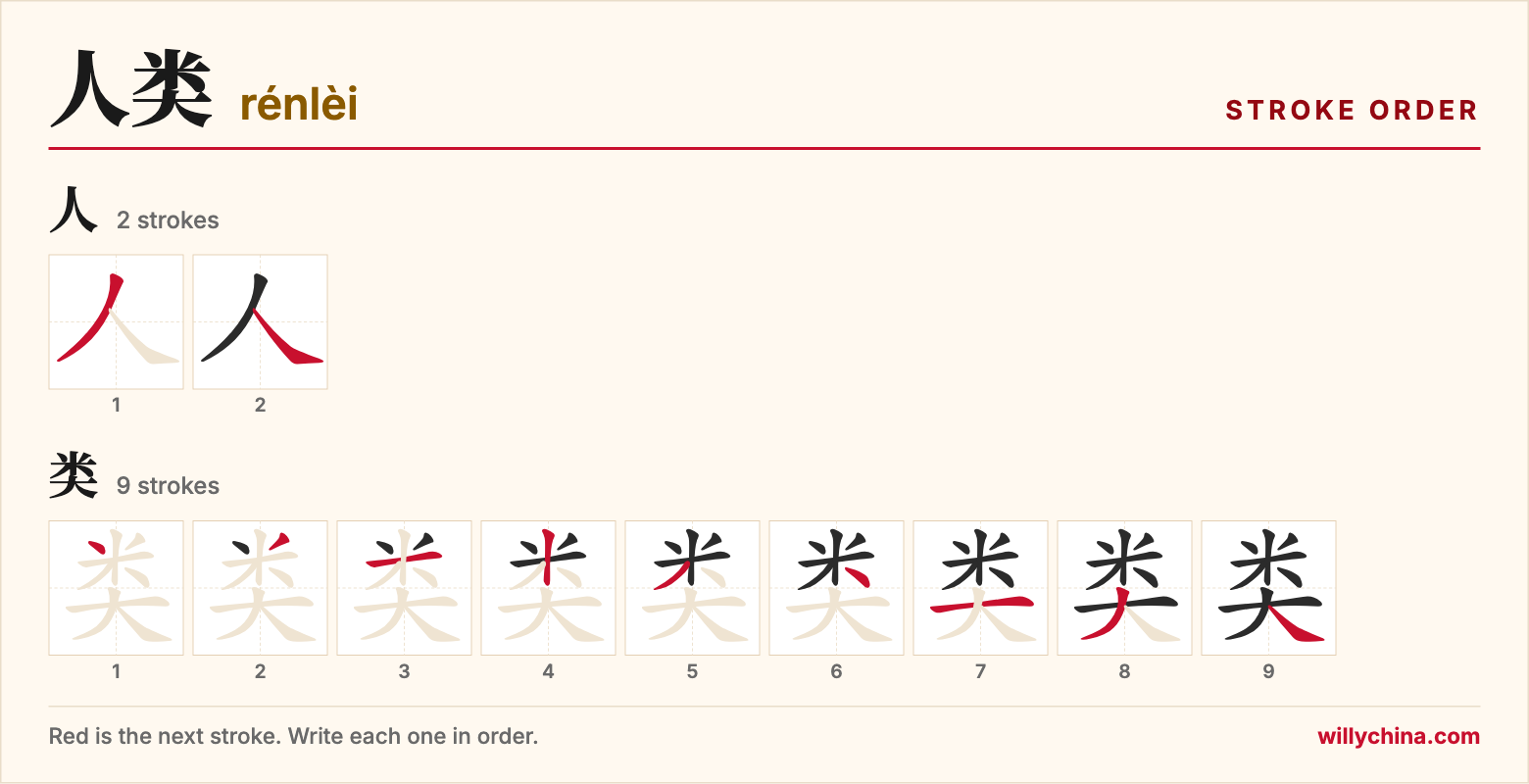 人类 (rénlèi) stroke order chart: each stroke of the characters in the order you write them