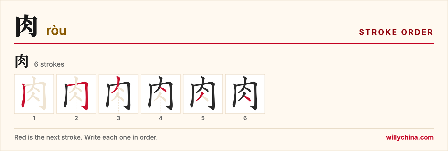 肉 (ròu) stroke order chart: each stroke of the character in the order you write it