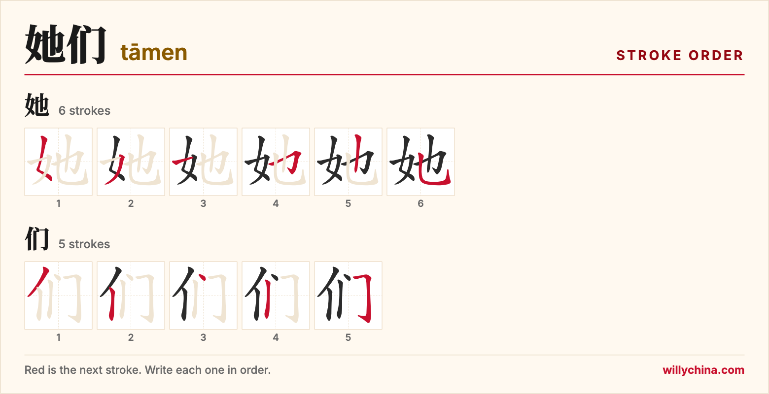 她们 (tāmen) stroke order chart: each stroke of the characters in the order you write them