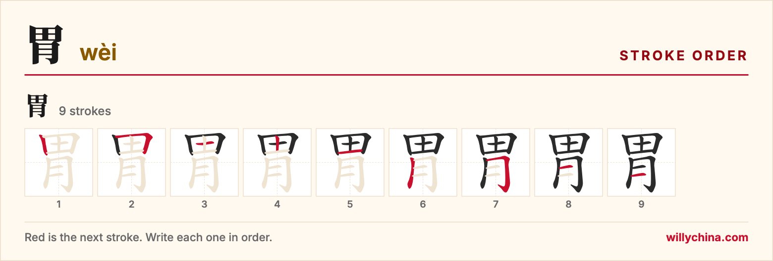 胃 (wèi) stroke order chart: each stroke of the character in the order you write it