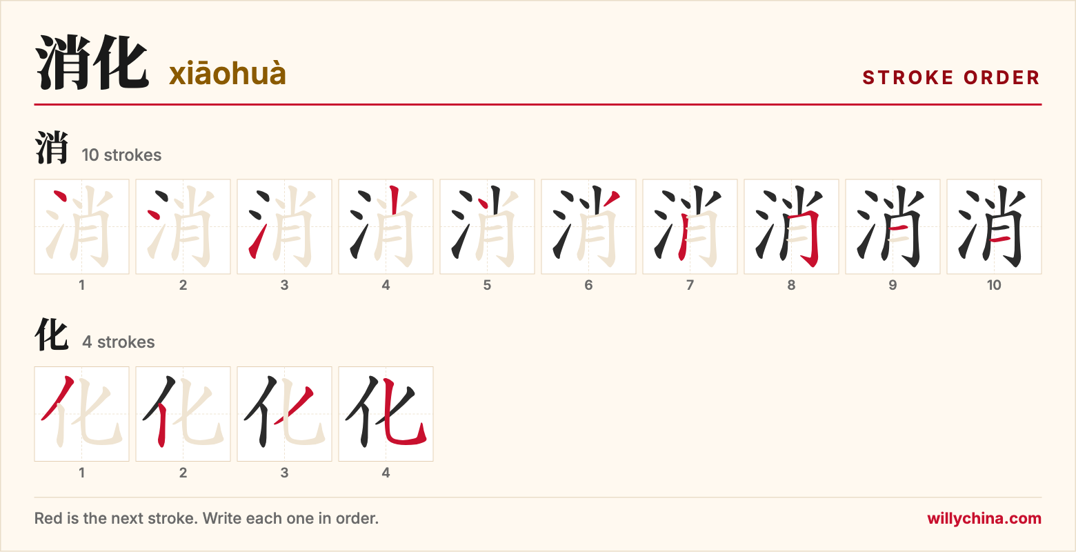 消化 (xiāohuà) stroke order chart: each stroke of the characters in the order you write them