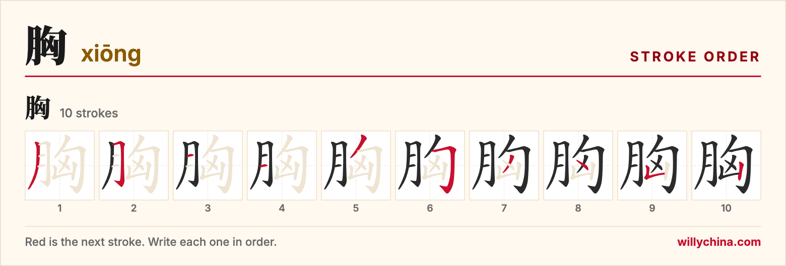 胸 (xiōng) stroke order chart: each stroke of the character in the order you write it
