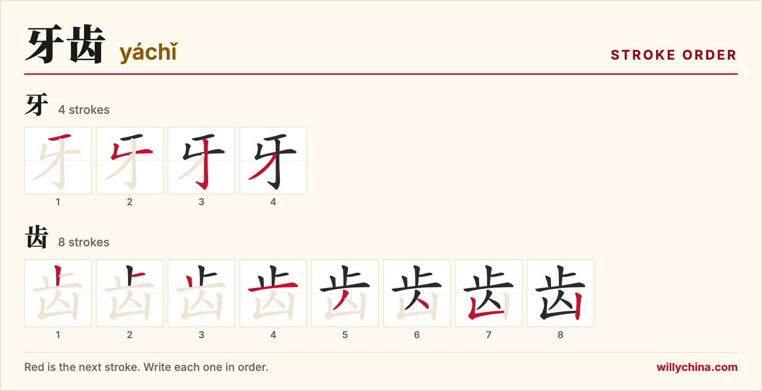 牙齿 (yáchǐ) stroke order chart: each stroke of the characters in the order you write them