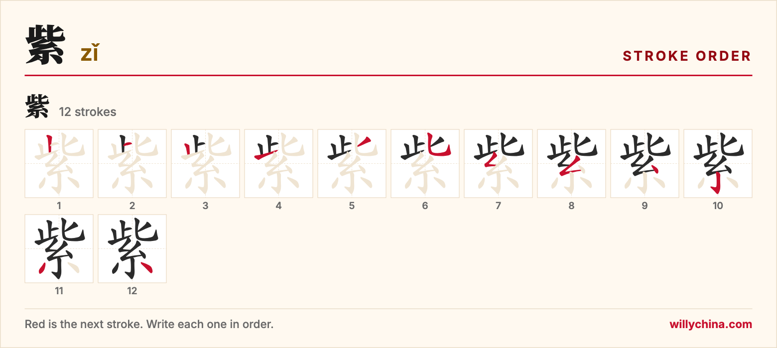 紫 (zǐ) stroke order chart: each stroke of the character in the order you write it